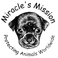 Miracles Mission Logo